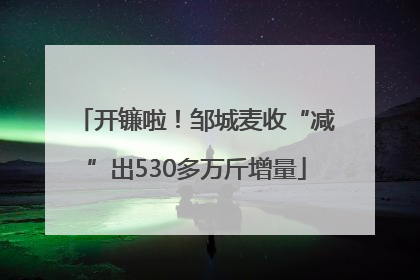 开镰啦！邹城麦收“减”出530多万斤增量